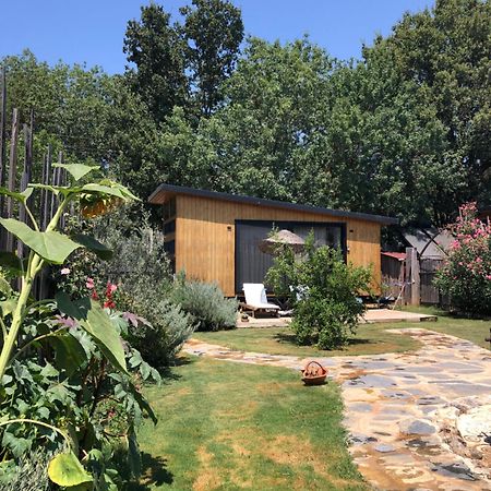 Tiny House Kayakoey Nar Villa Fethiye Eksteriør billede